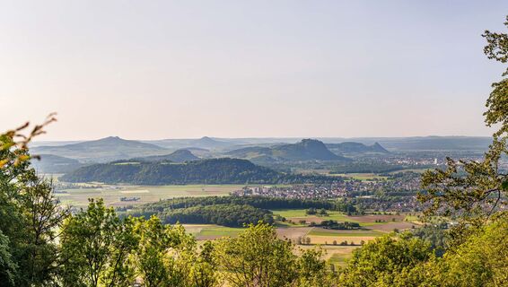 Blick auf die Hegau-Vulkane vom Albertine Steig