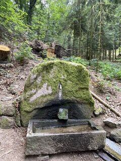 Foto von lotharkoerner entlang der Tour