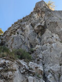 Fotografija s spletne strani Kreva89 na poti