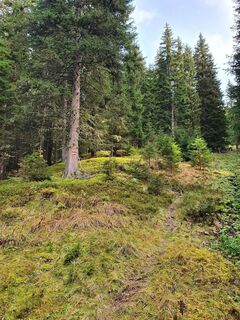 Tour auf den Maierangerkogel