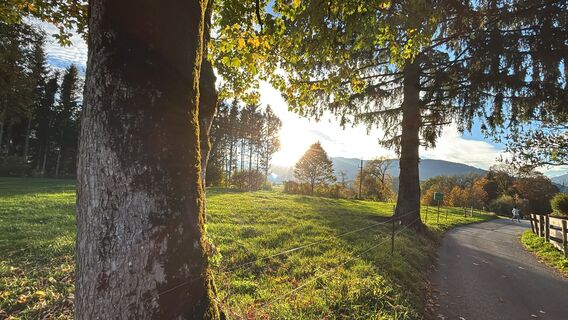Fotografie z Markus Vogl na trase