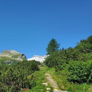 Photo de Francesca Semeraro le long du parcours