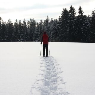 Schneeschuhwandern in Sandl