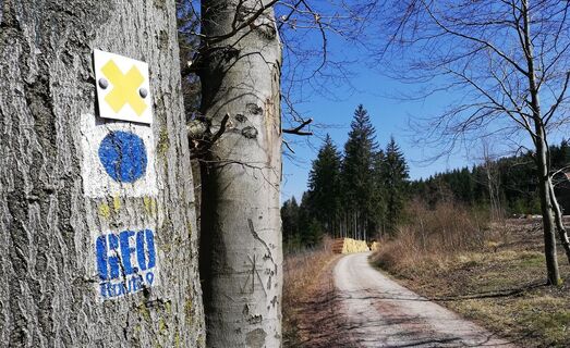 Geo-Route 9 bei Ruhla, Thüringen
