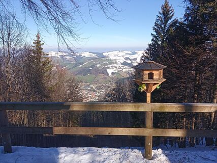 Foto von Wanderkatze entlang der Tour