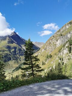 Photo de P Kowatschek le long du parcours