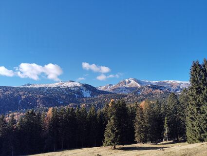 Foto von Albert Grillitsch entlang der Tour