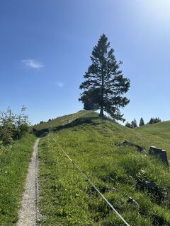 Fotografia z Terence Rose na trase