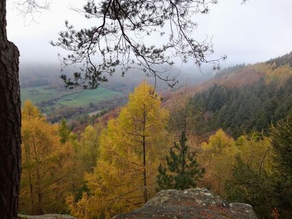 Photo de Fiet haenen le long du parcours