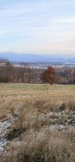 Zdjęcie z Josef Frys wzdłuż trasy