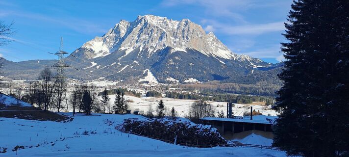 Photo de Gibi le long du parcours