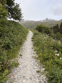 Fotografia z Stucki Sven na trase