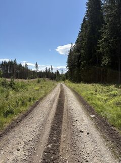 Fotografie z Jako Koel na trase