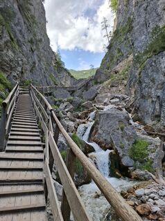 Photo de Michael Putz le long du parcours