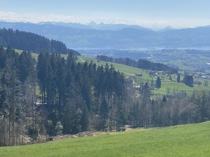 Fotografia z Alain Lutz na trase