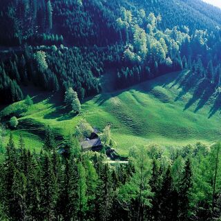 Heinzleralm