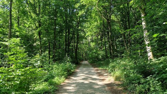 Фото с сайта EP87 во время экскурсии