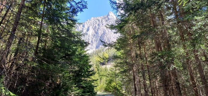 Photo de Bergfex Cros le long du parcours