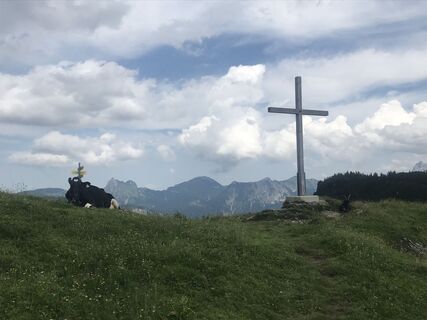 Fotografija s spletne strani Kay Erler na poti