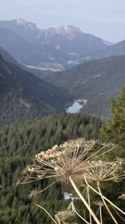 Foto von Martin Wasler entlang der Tour