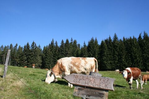 Wegweiser Malleisten Alm - Hocheck