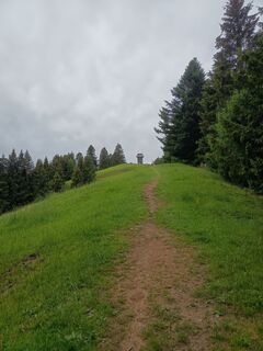 Foto von Bettina Miller 1 entlang der Tour