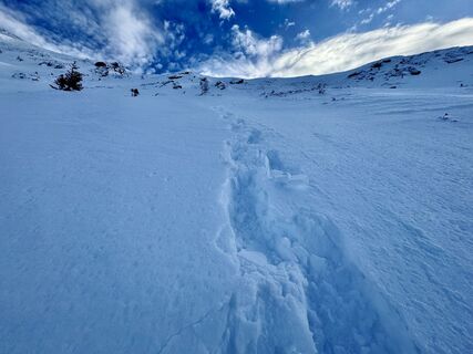 Fotografia z andi.Laemmerer na trase