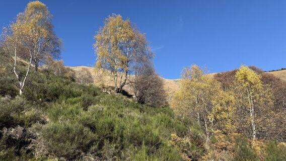 Fotografie z Giovanni Bianchi na trase