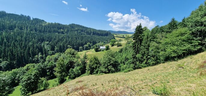 Fotografia z Gerhard na trase