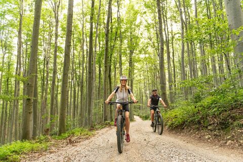 MTB Wienerwald