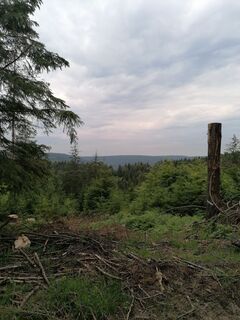 Foto von Axel S. entlang der Tour