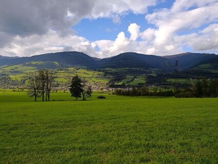 Photo de Anne Herrmann le long du parcours