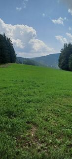 Krieglach, Steiermark/Österreich