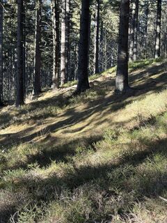 Fotografia z Reinhard Frewein na trase