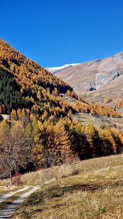 Fotografija s spletne strani Fabrizi Mellano na poti