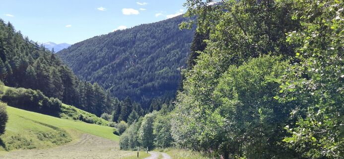 Photo de David Bubenheim le long du parcours
