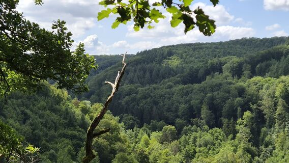 Foto von W Jude entlang der Tour