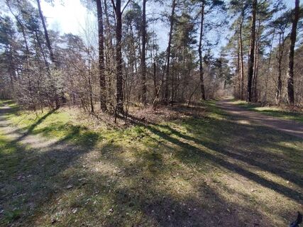 Zdjęcie z Heckis wzdłuż trasy