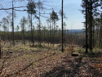 Fotografie z Attila Mihalcz na trase