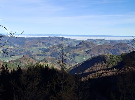 Fotografija s spletne strani kstb na poti