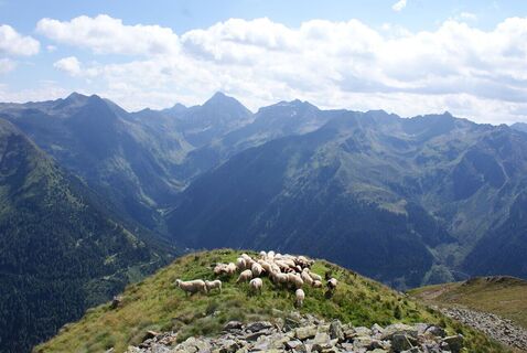 Blick von der Hasenkarspitze in Richtung Hochgolling