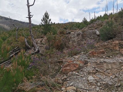 Fotografia z Andreas na trase