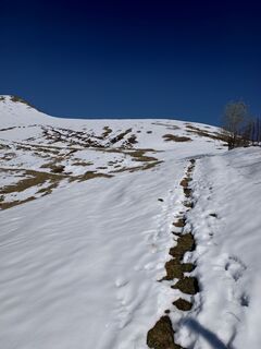 Foto från Sergio Tettamanti under resans gång