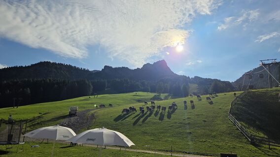 Sëlva - Wolkenstein - Selva di Val Gardena, Trentino – Alto Adige/Südtirol/Italy