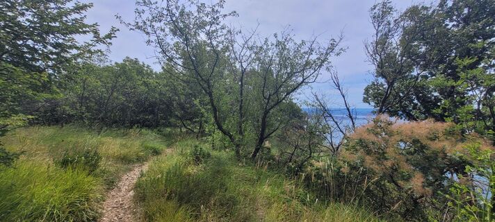 Fotografija s spletne strani silkerschi na poti