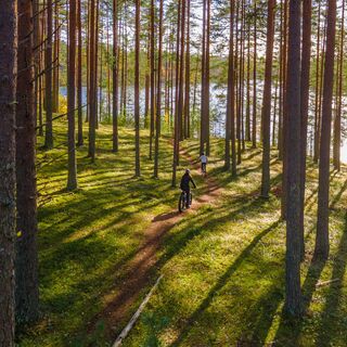 Jyri- und Pärnä-Wanderweg, entlang des Nadelpfades zum Ufer des Jyrinjärvi-Sees