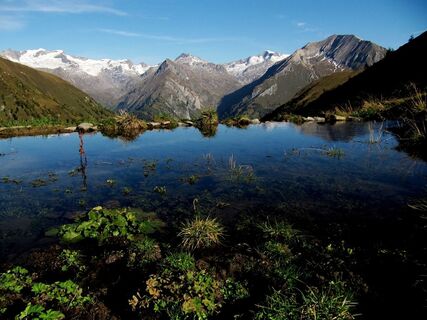 Biotop entlang des Muhspanoramaweges