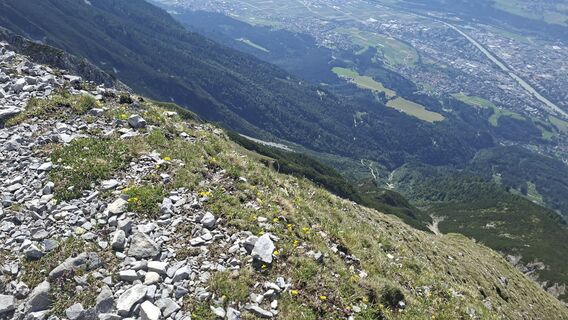 Foto von Gustl entlang der Tour