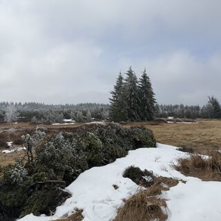 Zdjęcie z Steffen Kiesel wzdłuż trasy