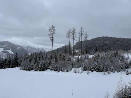 Foto von Michaelgruendel entlang der Tour